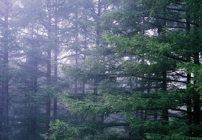 f0220698_85171.jpg