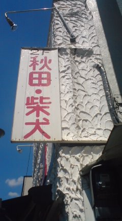 c0202101_0121138.jpg
