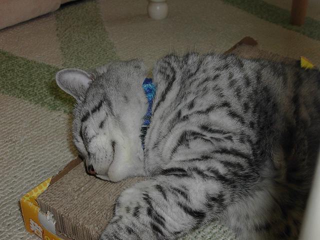 c0187403_18424567.jpg