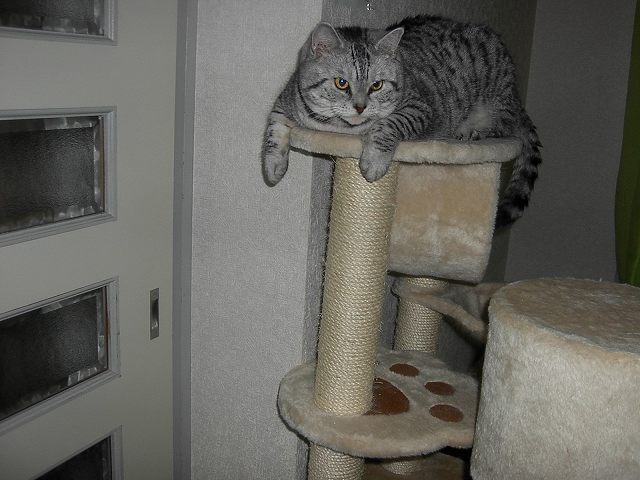 c0187403_18483136.jpg