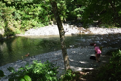 a0134004_9301488.jpg