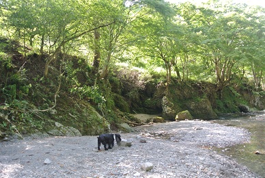 a0134004_9302738.jpg
