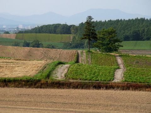 e0117805_217728.jpg