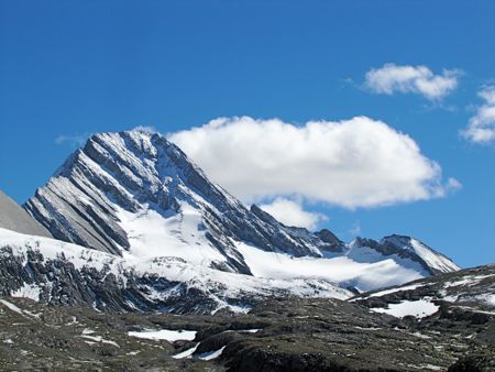 b0051109_8361895.jpg