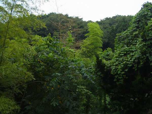 e0203009_21383537.jpg
