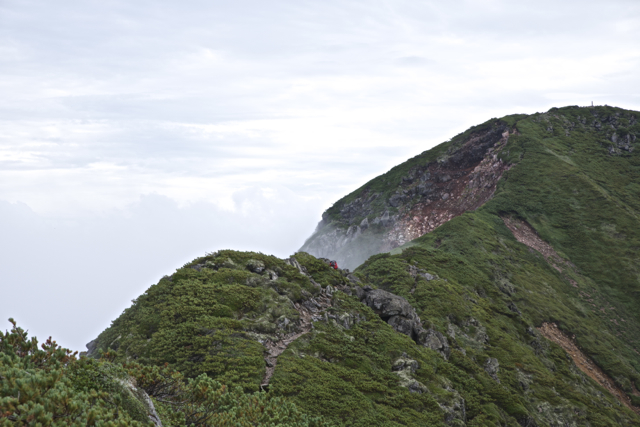 c0153411_2038393.jpg