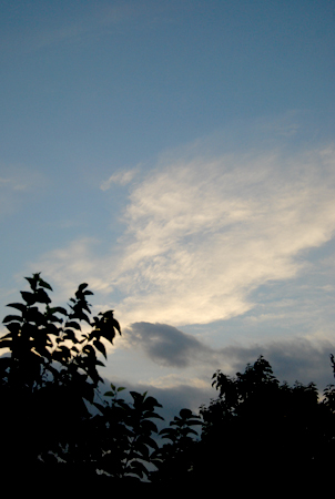 d0113613_14421875.jpg
