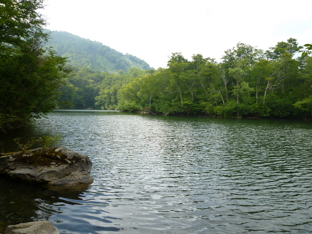 d0170615_10291762.jpg