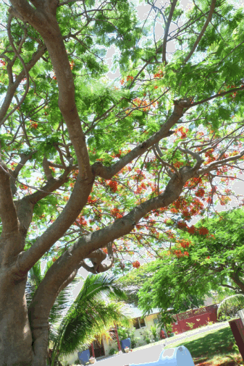 e0157816_9374361.gif