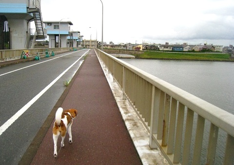 c0084117_2193270.jpg