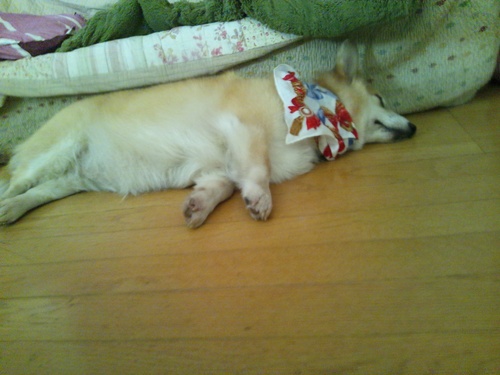 c0150520_2124382.jpg