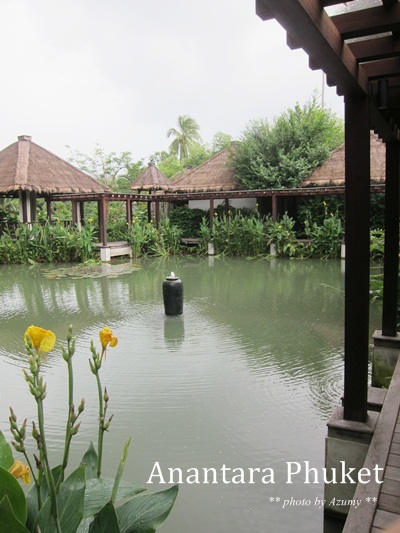 a0114521_9264941.jpg