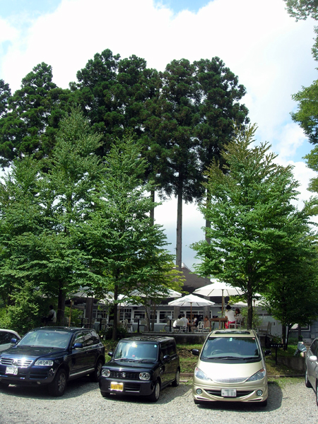 d0077225_15473828.jpg