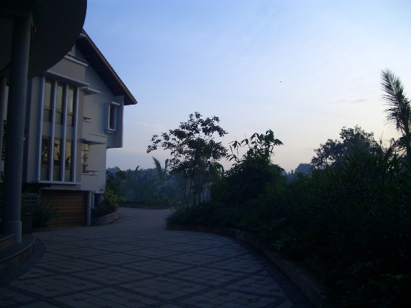 a0024829_1645792.jpg