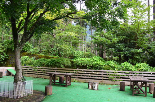 f0124830_11225366.jpg