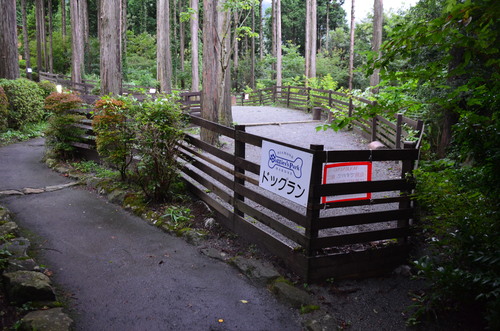 f0124830_11442667.jpg