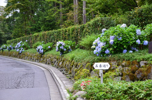 f0124830_15273327.jpg