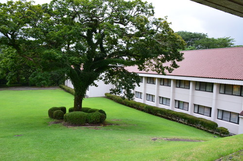 f0124830_15504126.jpg
