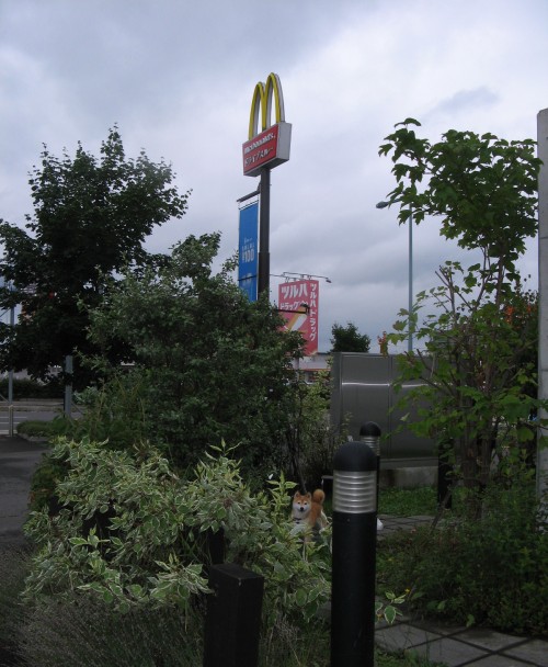 d0258236_2171590.jpg