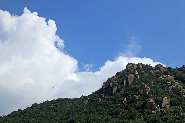 a0242438_19182415.jpg