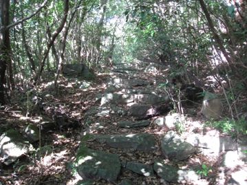 c0077338_5565457.jpg