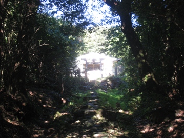 c0077338_5572861.jpg