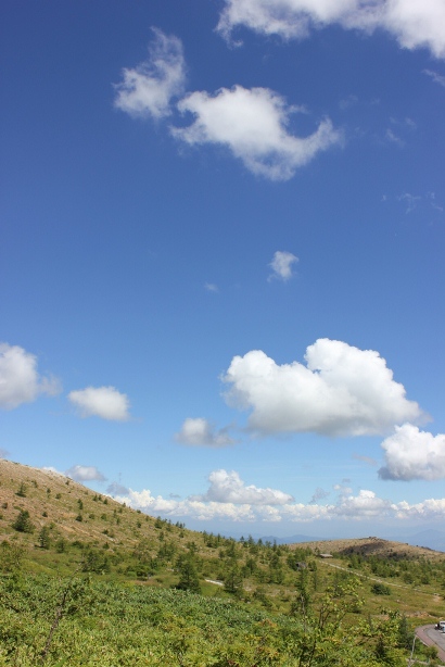 f0157538_20383614.jpg