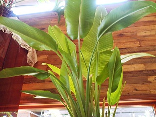 a0272241_169351.jpg