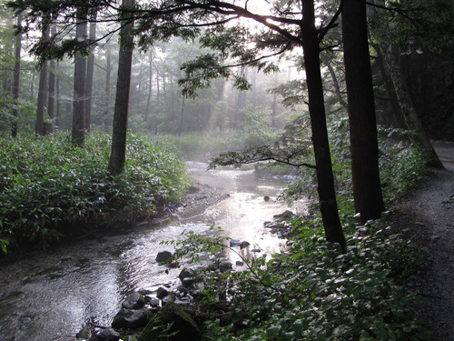 b0170644_0535237.jpg