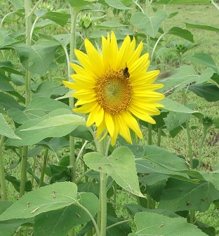 e0248844_2235278.jpg