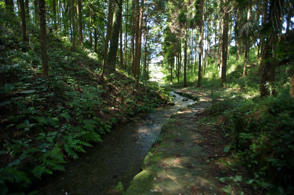b0023047_4334046.jpg