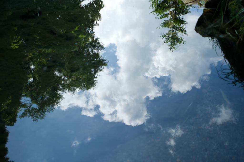 b0023047_4342156.jpg