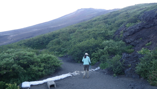 c0042847_12132427.jpg
