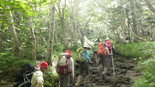 c0042847_121598.jpg