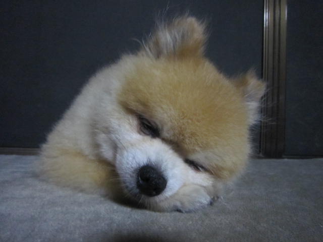 b0263452_20302837.jpg