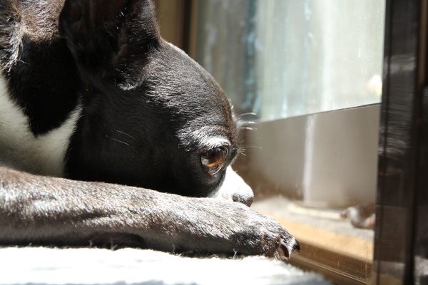 f0160554_20104950.jpg