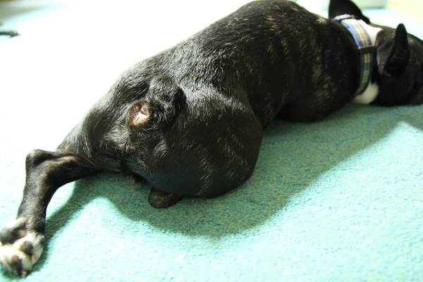 f0160554_2012084.jpg