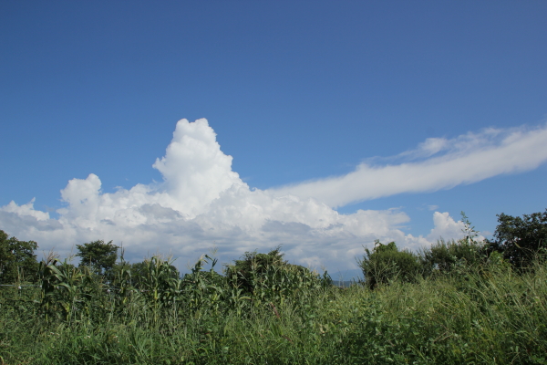 f0160554_20162087.jpg