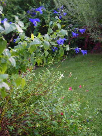 b0246758_21322254.jpg