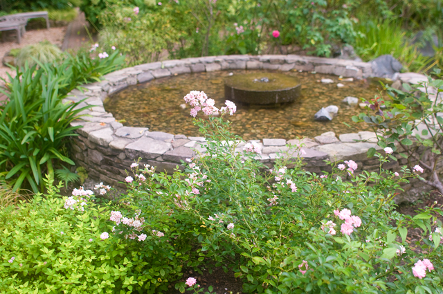 f0176458_1324096.jpg