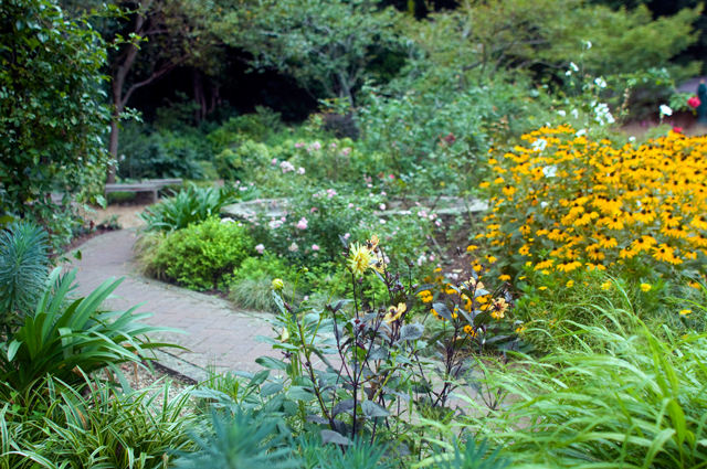 f0176458_134742.jpg