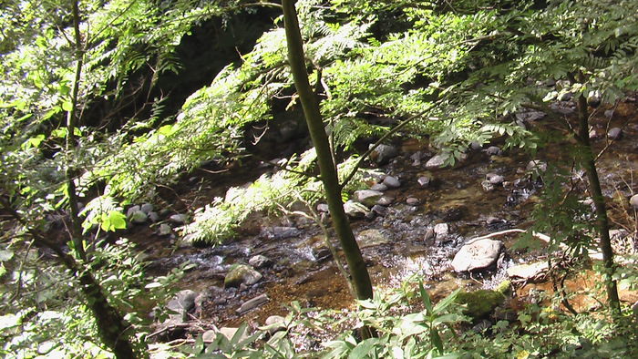b0208961_8414162.jpg