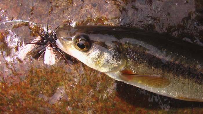 b0208961_8423249.jpg