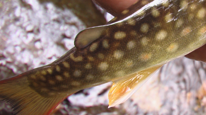 b0208961_8434498.jpg