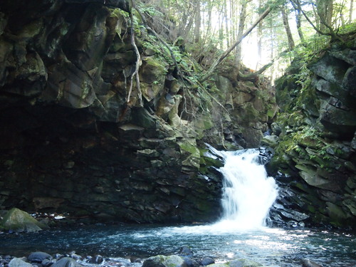 c0144868_23545319.jpg