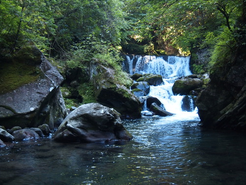 c0144868_23573531.jpg