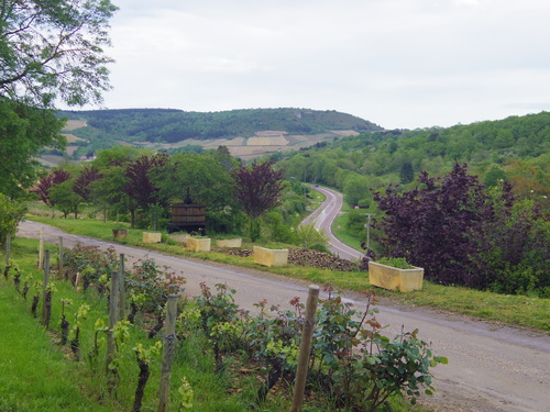 b0170369_1729962.jpg