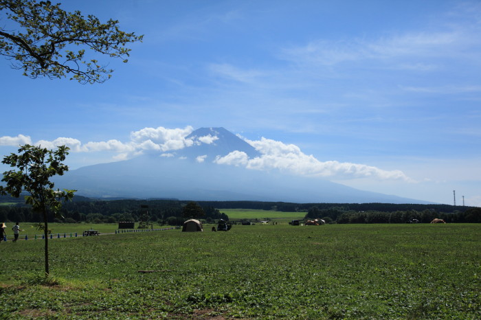 f0180075_18555170.jpg