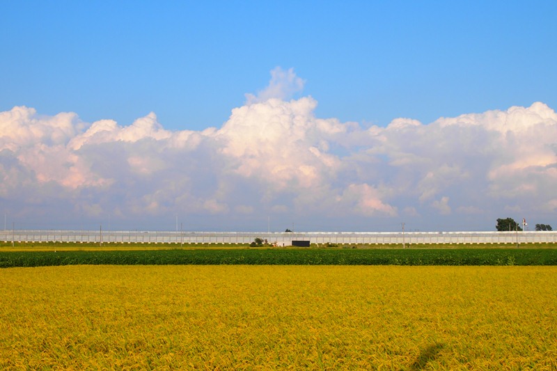 a0250576_22493294.jpg