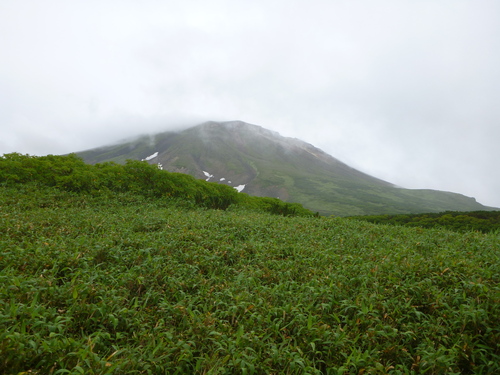 f0130376_19203626.jpg